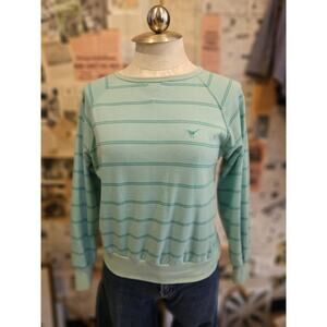 Pheasant Hill Blue Stripped Pull Over Sweater Size Large